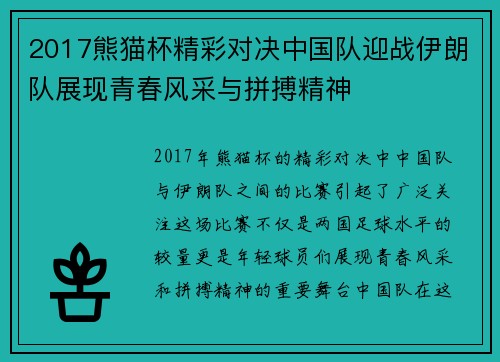 2017熊猫杯精彩对决中国队迎战伊朗队展现青春风采与拼搏精神