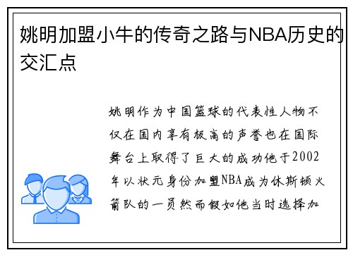姚明加盟小牛的传奇之路与NBA历史的交汇点